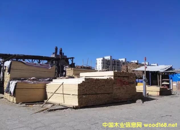 西藏最大！拉�_城投木材交易市��⒂�300余�羯碳胰腭v